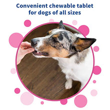 Load image into Gallery viewer, NEW! Proviable® Chewable Tablets For Dogs
