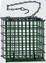 Load image into Gallery viewer, C&amp;S Wild Bird EZ Fill Suet Basket, Green
