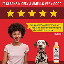 Load image into Gallery viewer, Warren London 2in1 Pet Shampoo and Conditioner for Dogs, Puppys, &amp; Cats | Best Dog Shampoo and Conditioner for Dry Itchy Skin | Dandruff Shampoo for Dogs | Made in USA | 17oz
