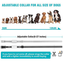 Load image into Gallery viewer, Bousnic Dog Shock Collar for 2 Dogs - ( 8-120lbs) Waterproof Rechargeable Electric Dog Training Collar with Remote for Small Medium Large Dogs with Beep Vibration Safe Shock Modes

