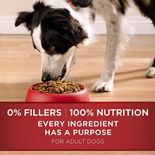 Load image into Gallery viewer, Purina ONE Natural Dry Dog Food, SmartBlend Lamb &amp; Rice Formula - 31.1 lb. Bag
