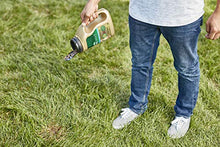 Load image into Gallery viewer, Scotts EZ Seed Dog Spot Repair Sun and Shade - 2 Lb., Mulch, Seed and Soil Amendment with Protectant and Tackifier, Repairs Pet Spots
