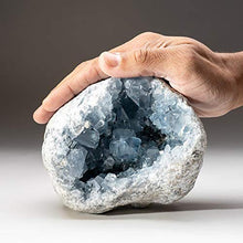 Load image into Gallery viewer, Astro Gallery of Gems Blue Celestite Cluster Geode from Sankoany, Ketsepy Mahajanga, Madagascar (5.8 lbs) - BC62
