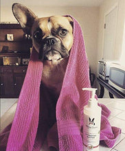 Load image into Gallery viewer, Warren London Hydrating Butter Leave-in Conditioner for Dogs Skin and Coat - Guava &amp; Mango - 8oz
