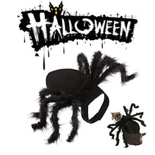 Load image into Gallery viewer, N3 2020 Updated Version Product Halloween Spider Pet Costume，Halloween Horror Simulation Plush Big Spider Wings Dress Up Funny Party for Dogs or Cats (M)
