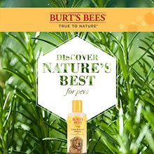 Load image into Gallery viewer, Burt's Bees for Pets for Dogs All-Natural Paw &amp; Nose Lotion with Rosemary &amp; Olive Oil | For All Dogs and Puppies, 4oz | Best Treatment for All Dogs and Puppies With Dry Nose and Paws

