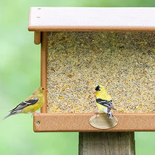 Load image into Gallery viewer, Morning Song 11959 Clean &amp; Free Shell Free Wild Food Premium No Mess Bird Seed for Outside Feeders, 10 lb
