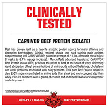 Load image into Gallery viewer, MuscleMeds Carnivor Mass Chocolate Big Steer 1250 Bucket, 15 Lb
