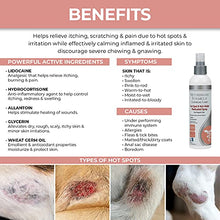 Load image into Gallery viewer, Veterinary Formula Clinical Care Hot Spot &amp; Itch Relief Medicated Spray 8 oz, White, (GI01340)
