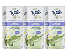 Load image into Gallery viewer, Tom's of Maine Fluoride-Free Toddler Training Toothpaste, Mild Fruit, 1.75 oz. 3-Pack

