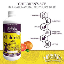 Load image into Gallery viewer, Childrens ACF Rapid Immune Recovery, Immune Booster &amp; Support for Kids, Herbal Blend with Vitamin C Elderberry Enchinacea, 16oz
