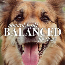 Load image into Gallery viewer, Burt's Bees for Pets for Dogs All-Natural Paw &amp; Nose Lotion with Rosemary &amp; Olive Oil | For All Dogs and Puppies, 4oz | Best Treatment for All Dogs and Puppies With Dry Nose and Paws
