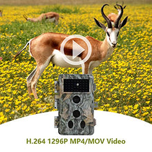 Load image into Gallery viewer, 2-Pack Game Trail Deer Cameras No Glow 90ft Night Vision 24MP Picture 1296P H.264 MP4 Video Motion Activated Waterproof 0.1S Trigger Speed Photo &amp; Video Model for Hunting Wildlife or Home Surveillance
