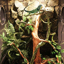 Load image into Gallery viewer, kathson Reptile Vines Plants Flexible Bendable Jungle Climbing Vine Terrarium Plastic Plant Leaves Pet Tank Habitat Decor for Bearded Dragons Lizards Geckos Snakes Hermit Crab Frogs and More Reptiles
