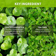 Load image into Gallery viewer, IUNIK Centella Calming Gel Cream 2.02 Fl. Oz. Deep Hydrating, Botanic Ingredients with Centella Asiatica &amp; Tea tree extracts – Face Moisturizer for Sensitive &amp; Dry skin / Acne Treatment Clear Skin – Face Serum for Acne, Breakout, Pimple - Tea Tree 67%, Ce
