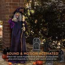 Load image into Gallery viewer, Best Choice Products 5ft Standing Animatronic Witch, Wicked Wanda Winterbeary Poseable Halloween Figure with Pre-Recorded Phrases, LED Glowing Eyes, Adjustable Arms
