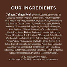 Load image into Gallery viewer, Instinct Be Natural Real Salmon &amp; Brown Rice Recipe Natural Dry Dog Food by Nature's Variety, 4.5 lb. Bag
