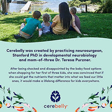 Load image into Gallery viewer, Cerebelly Baby Food Pouches – White Bean Pumpkin Apple (Pack of 6), Organic Fruit &amp; Veggie Purees, Great Snack for Toddlers, 16 Brain-supporting Nutrients from Superfoods, No Added Sugar
