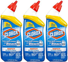 Load image into Gallery viewer, Clorox Toilet Bowl Cleaner with Bleach, Rain Clean - 24 oz, 3 Pack
