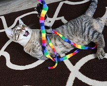 Load image into Gallery viewer, Cat Dancer Products Rainbow Cat Charmer
