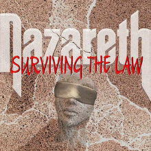 Load image into Gallery viewer, Surviving The Law
