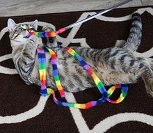 Load image into Gallery viewer, Cat Dancer Products Rainbow Cat Charmer
