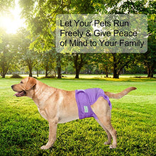Load image into Gallery viewer, Wegreeco Washable Reusable Premium Dog Diapers, Medium, Bright Color, for Female Dog, Pack of 3

