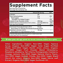 Load image into Gallery viewer, Vegan Immunity Vitamins Bundle for Kids &amp; Adults by MaryRuth's- USDA Organic Probiotics, Morning Multivitamin, Elderberry Extract &amp; Immunity Gummies - Non-GMO Vegan Sugar Free 30-60 Day Supply
