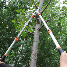 Load image into Gallery viewer, THANOS A1101 Extendable Anvil Loppers Tree Trimmer with Compound Action,Chops Thick Branch Ease,28-40'' Telescopic Heavy Duty Branch Cutter,2 inch Clean Cut Capacity.

