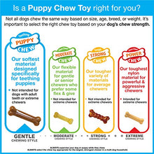 Load image into Gallery viewer, Nylabone Just for Puppies Teething Chew Toy Bacon Small/Regular (1 Count)
