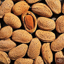 Load image into Gallery viewer, Natural In Shell Raw California Almonds (2 Lbs) | Pure Goodness Bursting with Natural Flavors | Delicious and Healthy for Snacking | By Farm Fresh Nuts
