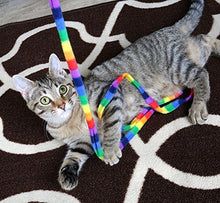 Load image into Gallery viewer, Cat Dancer Products Rainbow Cat Charmer
