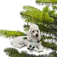 Load image into Gallery viewer, Sandicast Christmas Ornament, White
