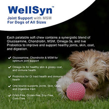 Load image into Gallery viewer, Joint Supplement Dogs - Glucosamine Chondroitin Dogs MSM, Omega 3 &amp; Probiotics - Triple Strength - Veterinarian Grade Alternative to Arthritis &amp; Pain Relief Medication - 60 Chews
