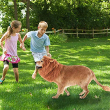 Load image into Gallery viewer, RWM Basting Brush &amp; Dog Lion Mane Constume-Love BBQ, Love Dog
