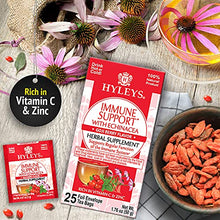Load image into Gallery viewer, HYLEYS Tea Immune Support With Echinacea Goji Berry Flavor, 25 Count

