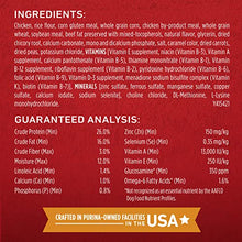 Load image into Gallery viewer, Purina ONE Natural Dry Dog Food, SmartBlend Chicken &amp; Rice Formula - 40 lb. Bag
