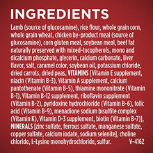 Load image into Gallery viewer, Purina ONE Natural Dry Dog Food, SmartBlend Lamb &amp; Rice Formula - 31.1 lb. Bag

