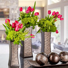 Load image into Gallery viewer, Decorative Brown Vases for Decor Centerpieces - Set of 3 Flower Vases Ideal Home Decor, Dining and Living Room Table Centerpiece, Table Decor, Bookshelf, Mantle and Entryway, Gift Boxed(Dublin)
