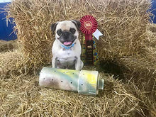 Load image into Gallery viewer, Shelter Pets Stuffed Animals: Ryan - 10" Tan Pug - Based on Real-Life Adopted Pets - Benefiting The Animal Shelters They were Adopted from - Dog Plush Gift for Kids
