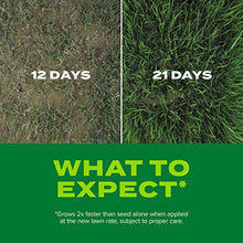 Load image into Gallery viewer, Scotts Turf Builder Rapid Grass Sun &amp; Shade Mix: up to 2,800 sq. ft., Combination Seed &amp; Fertilizer, Grows in Just Weeks, 5.6 lbs
