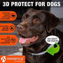 Load image into Gallery viewer, Rolf Club Flea &amp; Tick Collar for Dogs with 3D Level Protect | 6 Months Prevention &amp; Waterproof Repellent | Knockdown Effect Kills Ticks Before Bite | Safe Treatment Control | For Dogs Up to 65 Lb
