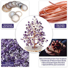 Load image into Gallery viewer, Jovivi Natural Amethyst Crystal Quartz Money Tree Tumbled Gemstones 5.5"-6.3", Geode Agate Slices Base Feng Shui Ornaments Home Living Room Table Office Decoration for Wealth and Luck
