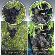 Load image into Gallery viewer, Aurora Optix Monocular 10X42 | High Power Scope with Smartphone Holder &amp; Tripod
