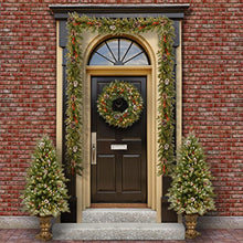 Load image into Gallery viewer, National Tree Frosted Berry Garland, 9 Feet x 10 Inch
