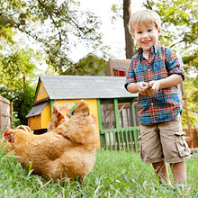 Load image into Gallery viewer, BestPet Chicken Coop Chicken Cage Pens Crate Rabbit Cage Enclosure Pet Playpen Exercise Pen

