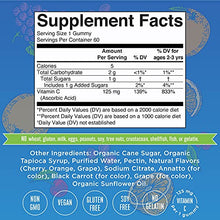 Load image into Gallery viewer, Vegan Vitamin C Gummies by MaryRuth's | 2 Month Supply | Great Tasting Plant-Based Formula Supports Immune Function &amp; Overall Health for Adults &amp; Kids | Non-GMO with 125 mg of Vitamin C Per Gummy

