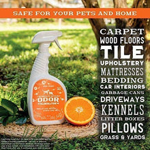 Load image into Gallery viewer, ANGRY ORANGE 24 oz Ready-to-Use Citrus Pet Odor Eliminator Pet Spray &amp; Enzyme Stain Cleaner &amp; Pet Odor Eliminator- Urine Remover and Carpet Deodorizer for Dogs and Cats
