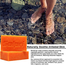 Load image into Gallery viewer, Solpri Shield Antifungal Soap Bar Lemongrass Tea Tree Eucalyptus 4 oz (2 Pack)
