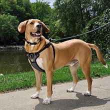 Load image into Gallery viewer, Coastal Pet Products Coastal Pet Walk Right! Front-Connect Padded Harness, Large, Black
